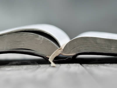 travestis mais dotadas do mundo - biblia